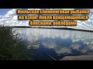 Июльская спиннинговая рыбалка на озере. Ловля вращающимися блеснами, воблерами