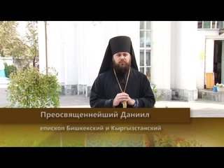 О грехе пьянства. Выпуск от 29 сентября 2016г. «Слово пастыря»