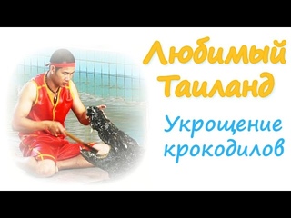 Крокодиловая ферма. Шоу крокодилов. Таиланд, Паттайя.