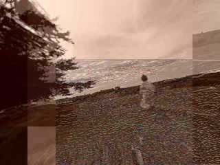 The Birds - Telefon Tel Aviv