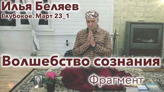 Илья Беляев 🐬 Волшебство сознания. Фрагмент (оз.Глубокое. Март 23_1)