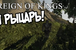Reign of Kings - Я рыцарь!