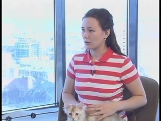 Котята мейн-кун в Воронеже на программе Утро вместе