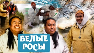 ПРОИЗВОДСТВО БЕЛОРУССКОЙ РЫБЫ. Как выращивают лосось РЫБНЫЕ ФЕРМЫ. Где лучше клюет форель РЫБАЛКА