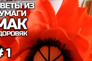 СУПЕР ГИГАНТСКИЕ МАКИ. Ростовые цветы своими руками (часть I)