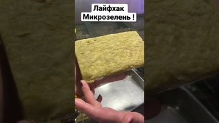 Лайфхак Микрозелень Микрогрин агровата посадка заряжаем питательный раствор