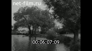1967г. с.Никольское колхоз Красный холм Ростовский район Ярославская обл
