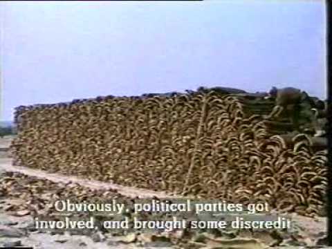 Discovering Portuguese 4