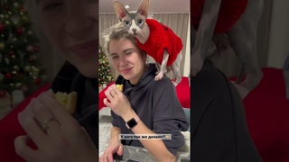 Мэни всегда хочет съесть чужое
