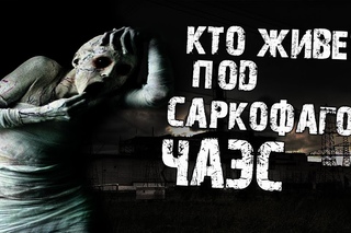 Страшные истории на ночь - Кто живет под саркофагом ЧАЭС