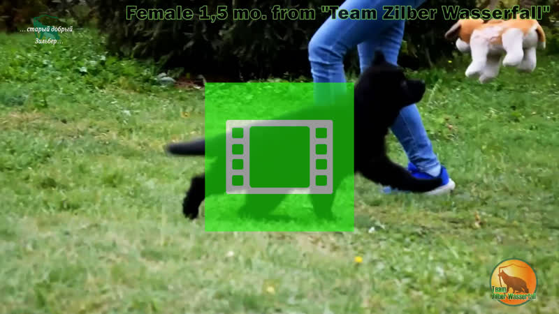 Girl from Team Zilber