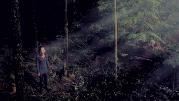 Breaking Dawn, Up From The Ashes Happy Birthday