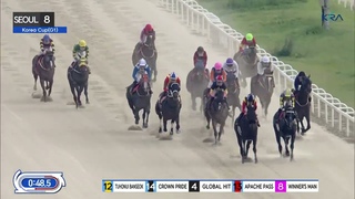 (Seoul)  R8 Class Open (1800M) Weight for Age - Korea Cup G3