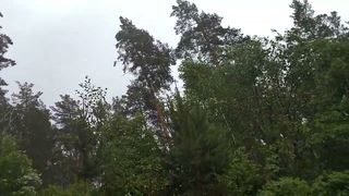 Попала под дождь