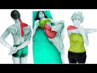 36 PICTURES TO SEE WHICH MUSCLE YOU’RE STRETCHING