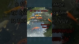 Пиши “Да!“ #эзотерика #аффирмации #заговоры