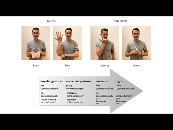 CARTA: Language Structure and the History, Future of Lingustics with Robert