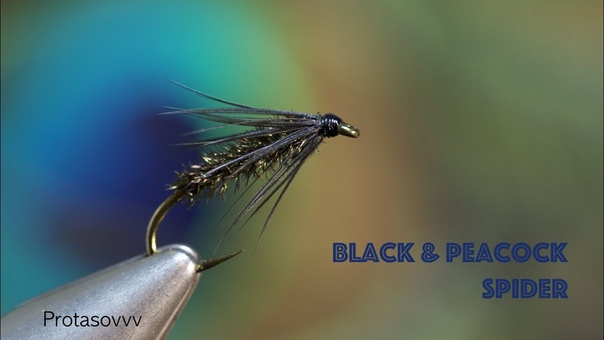 Fly Tying Black and Peacock
