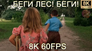 БЕГИ ЛЕС!