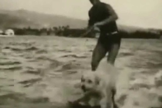 Jerry Pole - Longboards - El Toro Records