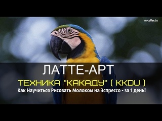 Латте Арт уроки - техника “KKDU“. (или Как Научиться Рисовать Латте Арт за 1 день! )
