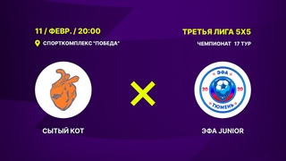 Сытый кот - : - ЭФА Junior | 17-й тур
