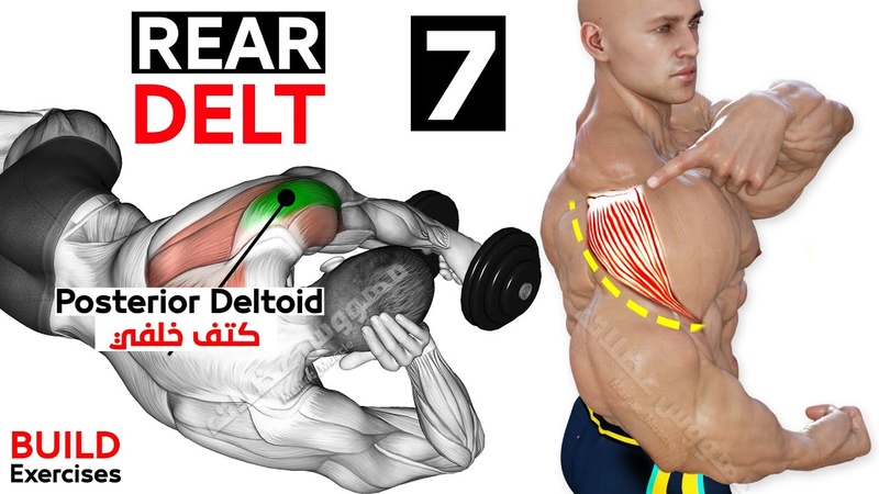 How To Grow Your Rear Delt (7 Key