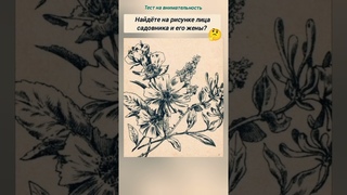 тест на внимательность, найдёте на рисунке лица садовника и его жены