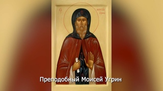 Преподобный Моисей Угрин. Православный календарь 8 августа 2024