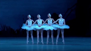 video 02 03 21 11 42