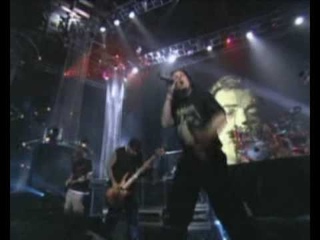 Korn shreds