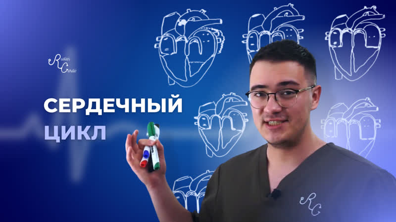 Сердечный цикл от А до