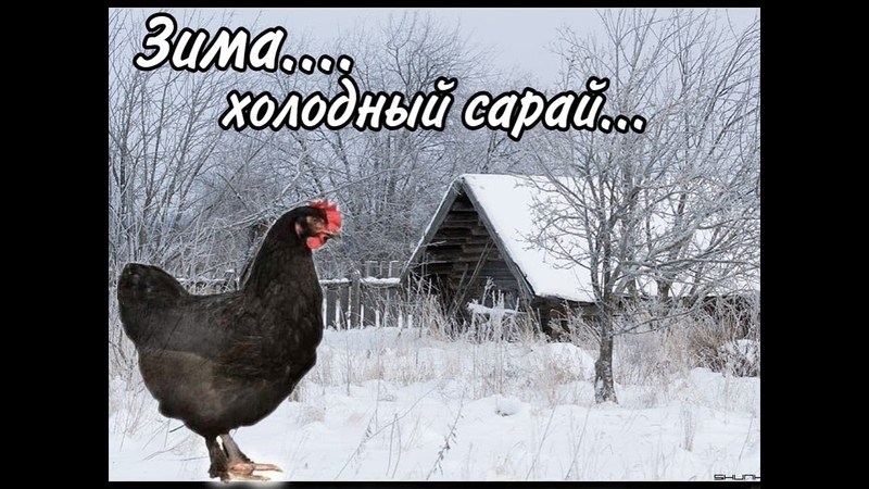 Зима,