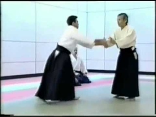 Tamura Nubuyoshi sensei embu with explanations