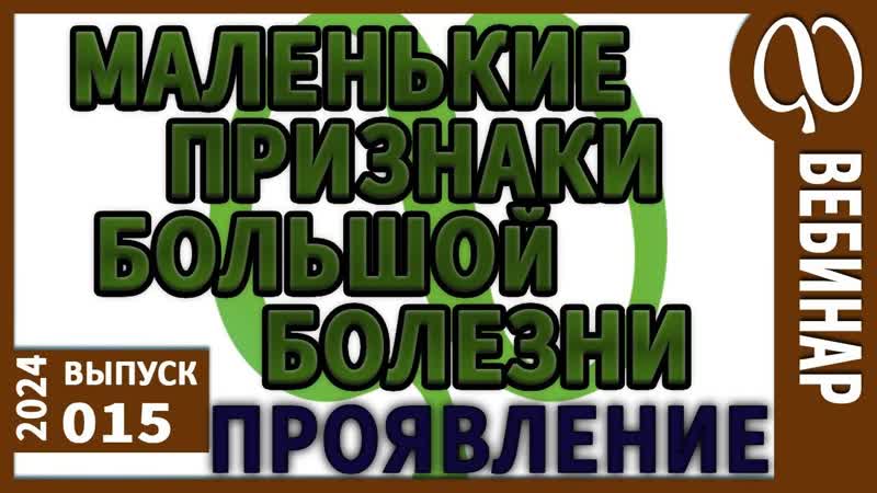 6 фаз токсикоза. Цистит. Простатит. Кризы и стресс.
