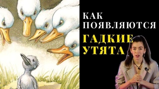 ГАДКИЙ УТЕНОК разбор сказки | сказкотерапия