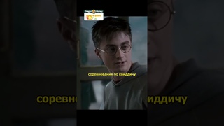 Гарри Поттер готовится к первой ходке/Озвучка DL STUDIO #shorts  #интервью