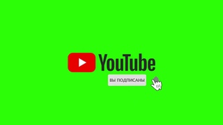 Коты и воздушные шары