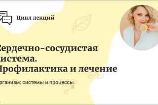 Марина Степанова. Сердечно- сосудистая система.