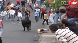 extreme bull attack compilation 2017