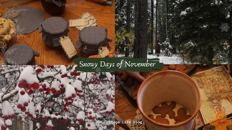 Snowy Days of November , Making Gingerbread Cookies and preparing for