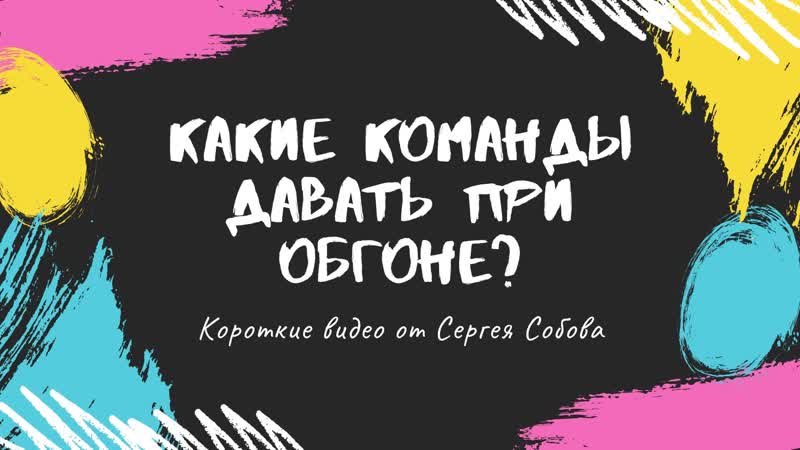 Какие команды давать собаке при обгоне в ездовом