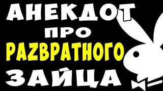 АНЕКДОТ про Наглого Зайца и Медведицу | Самые смешные свежие анекдоты