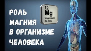 Роль Магния в Организме Человека