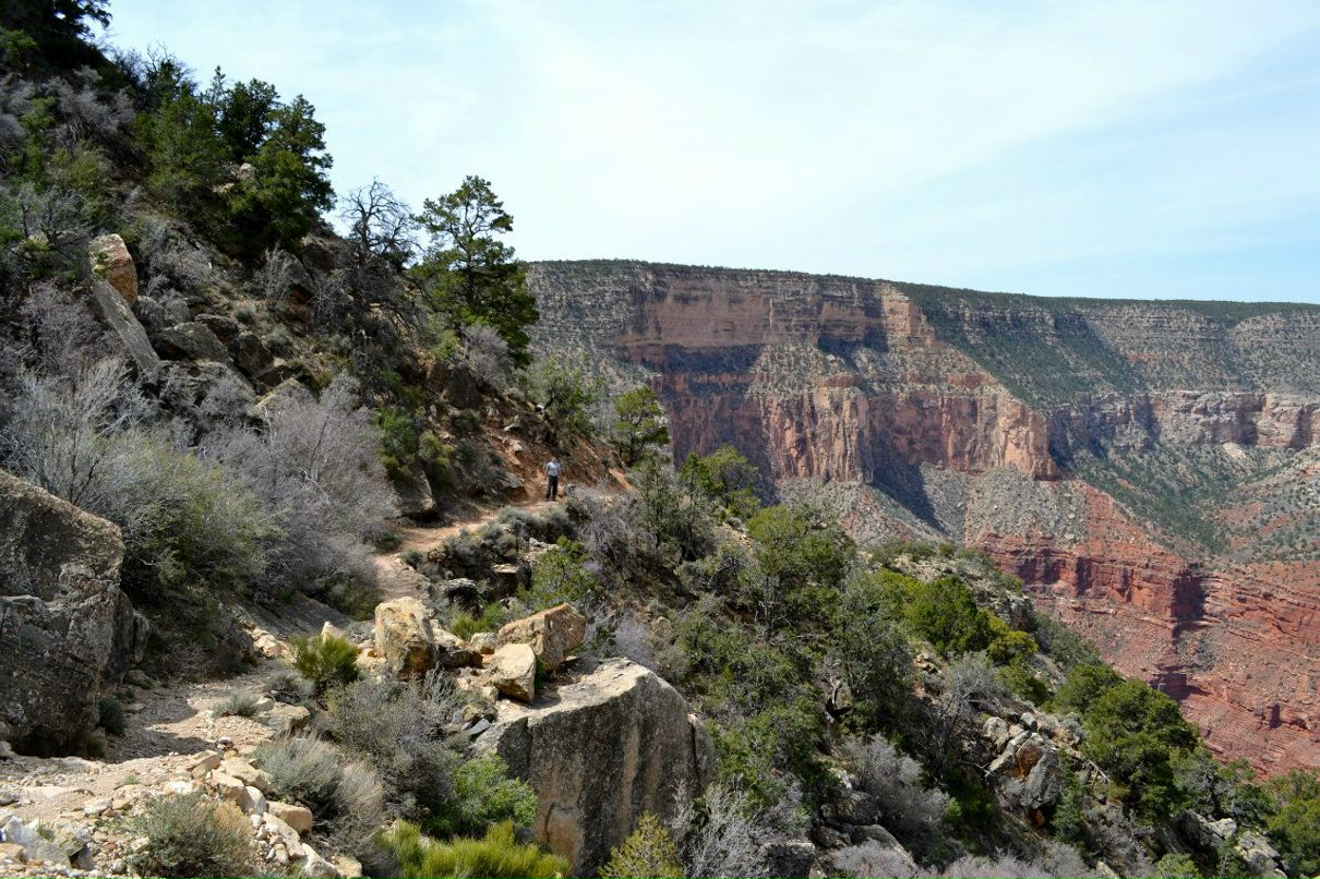 Наталья Корицкая | San Francisco