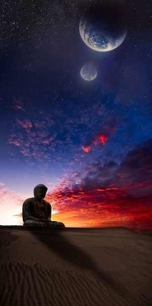 Dima Dima | Киев