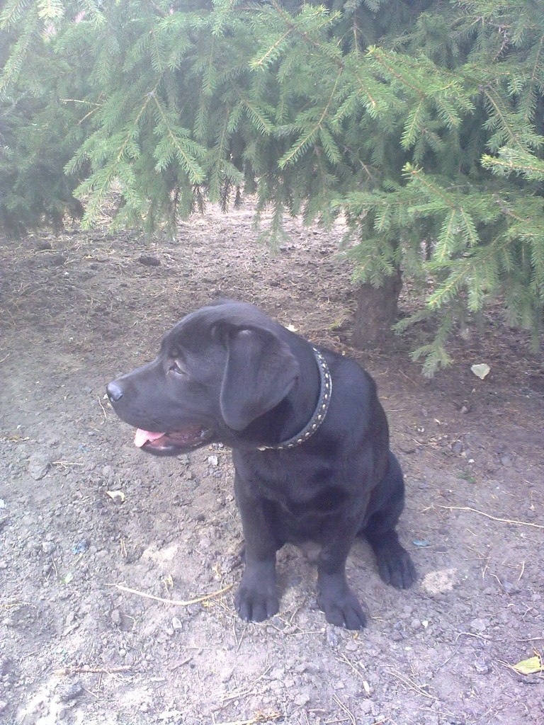 Татьяна Класс | Омск