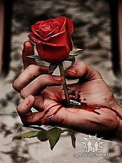 Елена Колесникова | Ступино (деревня)