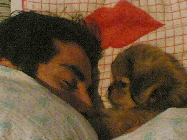 Алёна Бармада-Рыкалова | Dubai