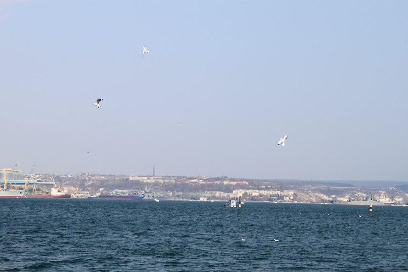 Катя Шереметева ***Grenouille heureuse*** | Nice